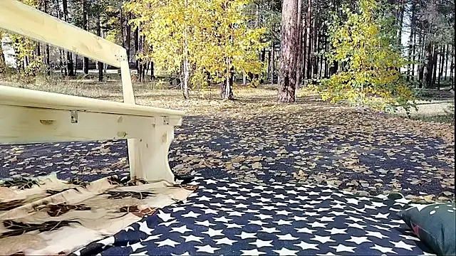 Siberia-Taiga online show from December 21, 9:46 am