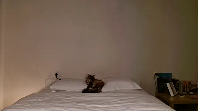 Milky   Way online show from November 7, 1:06 pm