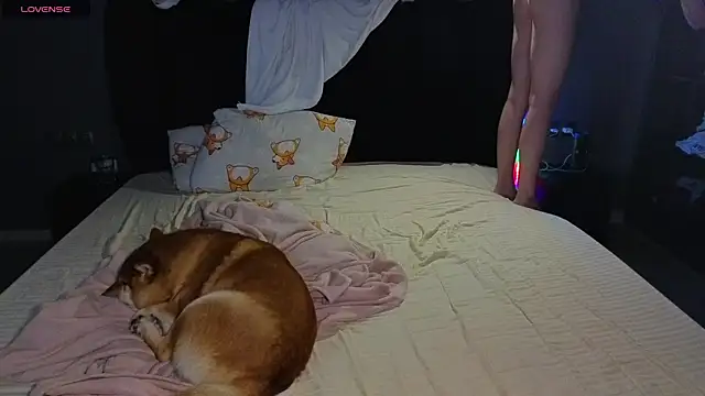 SexyCocobutt online show from June 24, 1:21 pm
