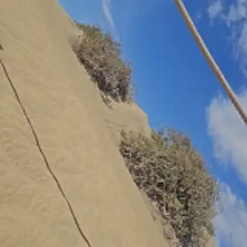 Trucker Hunter online show from January 19, 1:18 pm