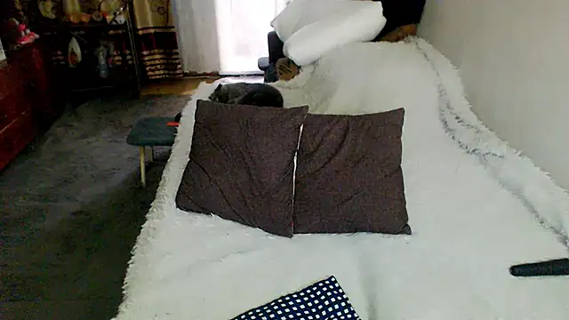 sex2 online show from June 10, 1:49 am