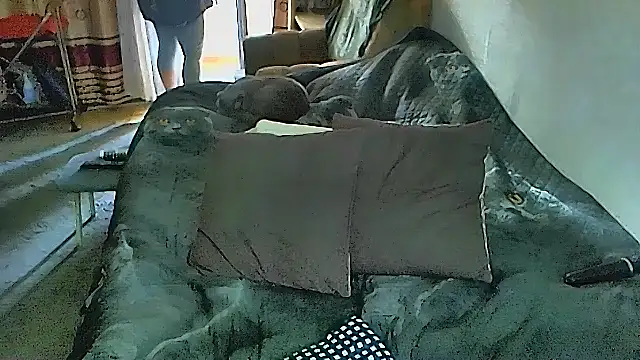 sex2 online show from November 5, 4:07 am