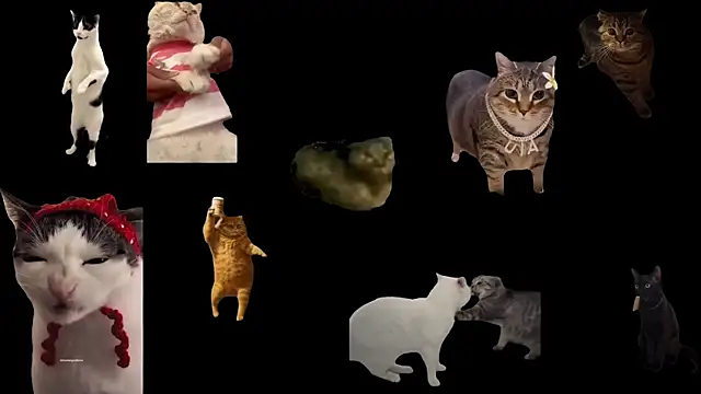 aberaaruba online show from November 13, 1:21 pm