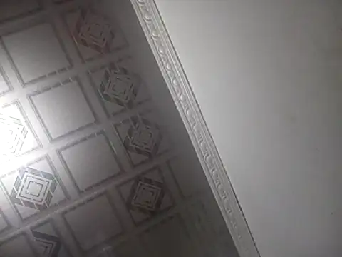 PlanetalMilk online show from April 25, 2:03 am