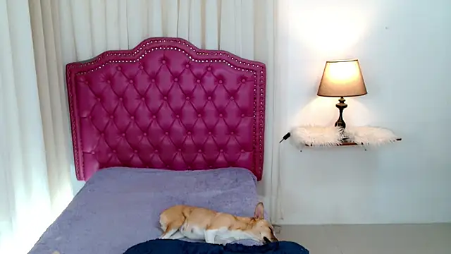 DreamLADYBOY online show from February 24, 1:05 am