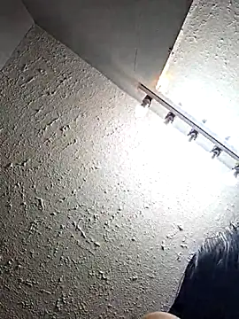 AriannaPena online show from November 5, 9:31 pm