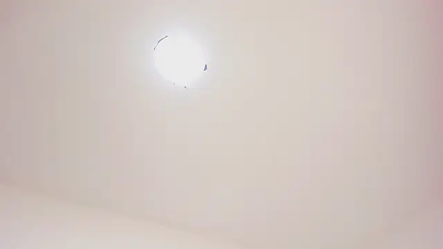 little tsgirl  online show from March 15, 2:13 am