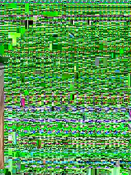 GoldenFlameGoddess online show from October 23, 11:11 pm