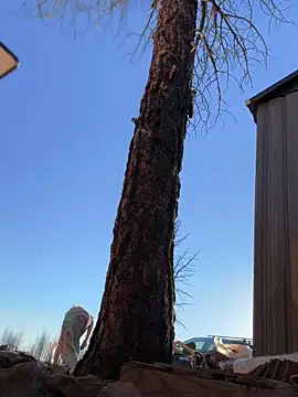 GoldenFlameGoddess online show from September 26, 12:52 am