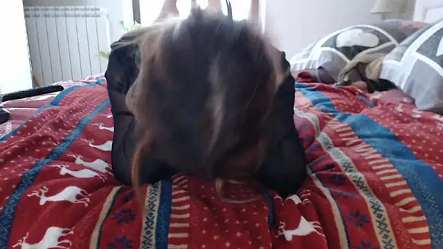 lulu italy online show from December 3, 1:24 pm