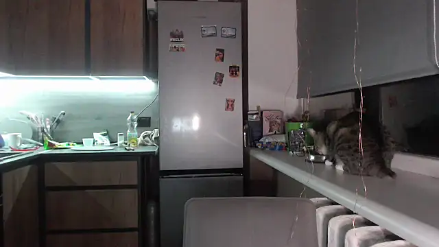 Snapshot of delightful_sofi chatting on September 28, 7:19 pm delightful sofi online show from September 28, 7:19 pm