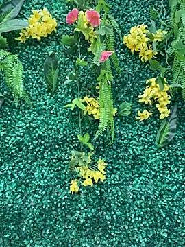 LiaVillalobos online show from April 18, 9:15 pm