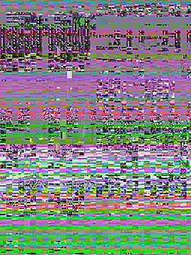 Black or white ANGEL online show from March 7, 5:42 pm